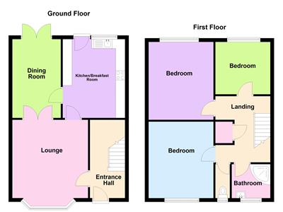 Picture 16